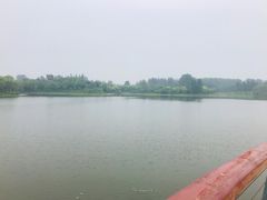 -东郊湿地公园