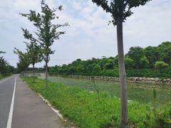 -上海长兴岛郊野公园