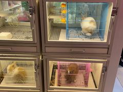 -鹏欣水游城