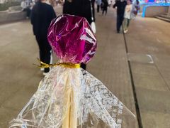 -太二酸菜鱼(天鹅湖万达店)