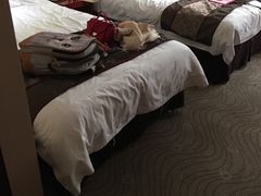 -美豪怡致酒店(上海长寿路店)