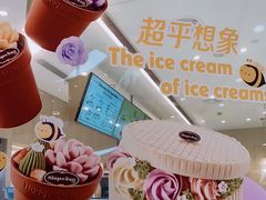 -哈根达斯(绍兴银泰店)