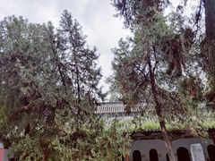-南阳卧龙岗武侯祠