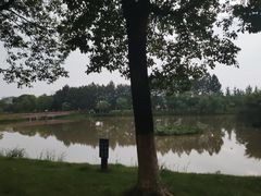 -艾溪湖湿地公园