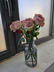 -安那般那皮肤年轻化ANAPANA