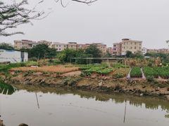 -陶缘一号·四季缘·老字号顺德菜·户外婚礼家宴(西滘店)