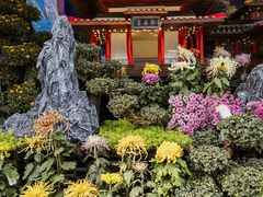 -惠山国家森林公园