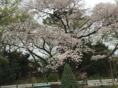 -维乐口腔医院(福清院)
