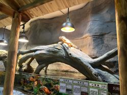 -Zoolung Zoolung动物主题公园(海信广场店)