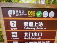 -野象谷景区