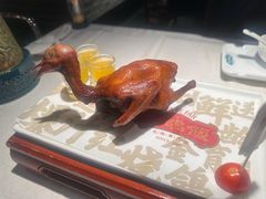 -大鸽饭(动物园店)