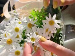 -艾通康缘艾灸.疼痛.睡眠养生馆(凤凰城店)