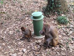 -苏州上方山国家森林公园