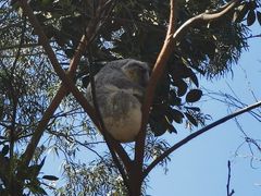 -费瑟代尔野生动物园