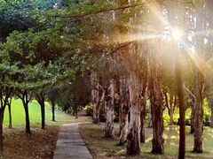 -福建鲤鱼洲酒店