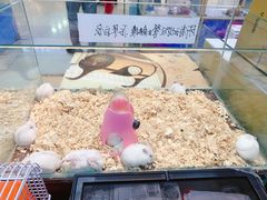 -乐宠宠物店(世纪金源店)