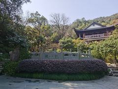 -十八棵（老龙井）御茶园(老龙井店)