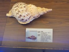 -大连圣亚海洋世界