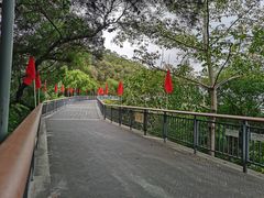 -金鸡山公园