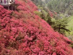 -木兰云雾山