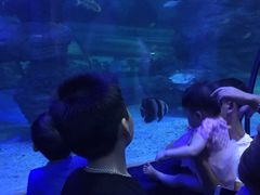 -左海海底世界