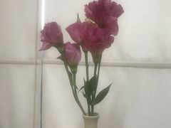 包房-竹里馆 ·茶食(奥体店)