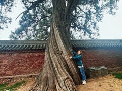 -中岳庙