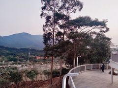 -白石龙音乐公园