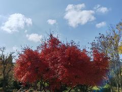 -宝界山林公园