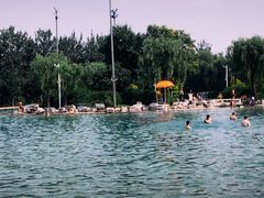 -柳浪游泳场