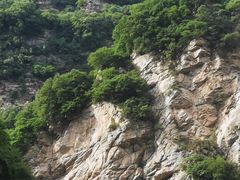 -少华山国家森林公园