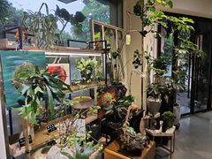 -弗劳尔花艺坊(龙涛店)