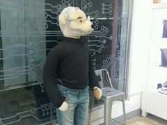 -济州岛泰迪熊博物馆