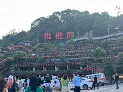 -枇杷园食为鲜火锅(南山店)