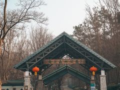 -南京老山国家森林公园