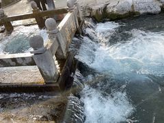 -百脉泉景区