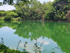 -王借岗森林公园
