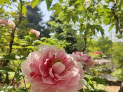 -国家植物园南园