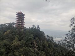 -缙云山景区
