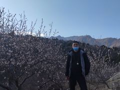 -白水寺森林公园
