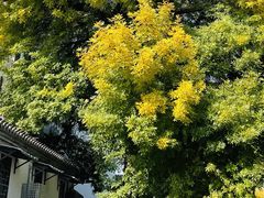 -南锣鼓巷
