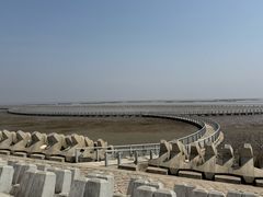 -南汇嘴观海公园