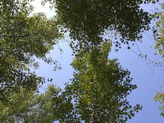 -东郊湿地公园