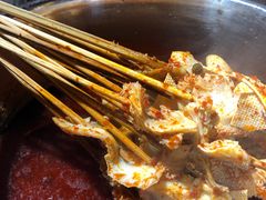 -大孩龙虾(体育场旗舰店)