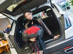 -河南威佳金凯汽车销售服务有限公司