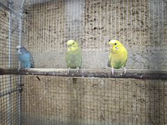 -五邑人家(江门店)