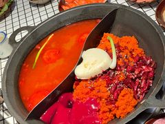 -董眼镜火锅(洪崖洞总店)