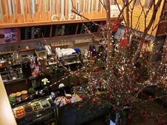 -Cafe Alice咖啡爱丽丝(奥城店)