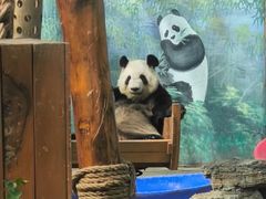 -鄂尔多斯野生动物园