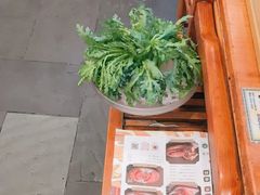 -乐宴·老北京铜火锅(八卦岭店)